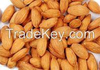 Natural 98% Amygdalin Bitter Almond Extract