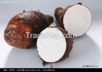 Spary dried natural taro powder