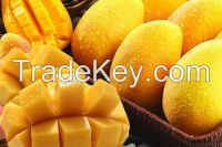 Mango juice powder instant mango powder