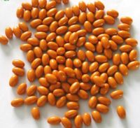 GMP approved Beta-carotene softgel