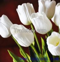 20 inch real touch artificial flower Tulip
