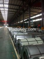hot sell prepainted galvainzed steel coil from China