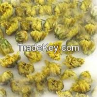 Sell Dried Chrysanthemum