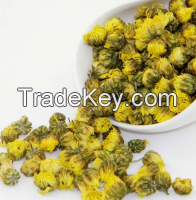 Chrysanthemum for Medical Use