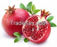 Sell Pomegranates