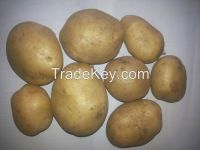 Sell Potatoes