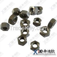 stainless steel Alloy20 China high quality fasteners hex nut M6-M64