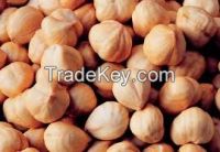 Hazelnuts for sale