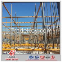 Cuplock Scaffolding/Ringlock Scaffolding