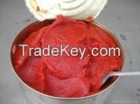 Canned Tomato paste