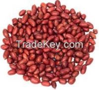 Red skin peanuts