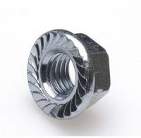 Hex Flange Nut for Industry Machinery