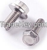 Stainless Steel Hex Flange Head Bolts