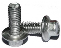 Sell Bolts