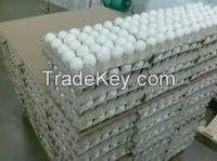 White chicken eggs