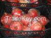 Sell Fresh Pomegranates