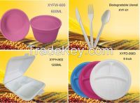 Disposable Lunch Box/plate/cup/box/fork