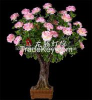 2014 new LED Peony flower tree bonsai for indoor and wedding decoration MD416