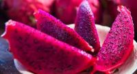 DRAGON FRUIT-VIETNAM FRUIT, CHEAP PRICE