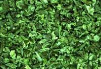 Sell dehydrated green Bell Pepper flakes
