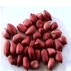 Sell peanut kernels redskin (silihong type)