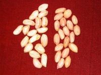 Sell Peanut kernels Jiyou type