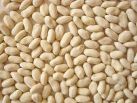 Sell blanched peanut kernels Virginia type