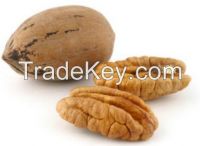 Sell Pecan nut