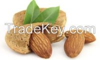 Sell Almonds Nuts