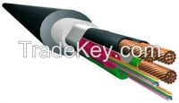 Optical and Electrical Composite Cable