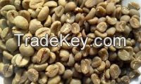 coffee beans from mountain1600m hills Robusta