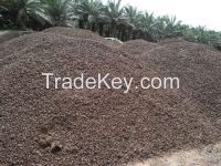 Palm Kernel Shell