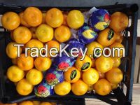 Fresh fruit and vegetable from Turkey