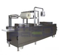 DZL Automatic Vacuum Packaging Machine