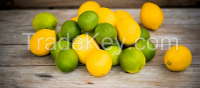 Fresh Lemons for Sale!!!