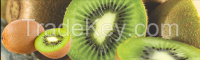 Fresh Kiwi fruit for Sale!!!