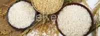 Basmati Rice available for immediate shipment...