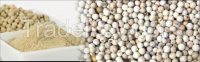 High Quality White Pepper available for immediate shipment.