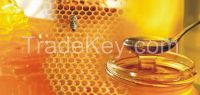 Pure Natural Honey Bee available for immediate shipment