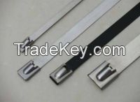 Cheap coated PVC self locking Stainless steel cable tie