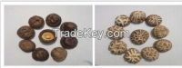 sell shiitake mushroom