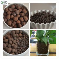 Lightweight Expanded Clay /Clay Pebbles As Growing Medium for Hydroponics/ Horticulture/ Agriculture, etc