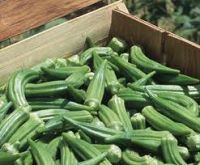 Fresh Okra