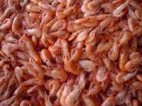 Shrimps, crayfish , crabs