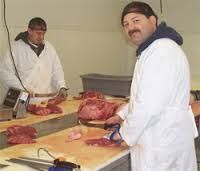 Halal Beef Carcass