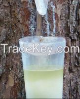 Pure and Natural Pine Oil 80% or 50% From Pine Rosin, Organic Pine Oil, CAS 8002-09-3