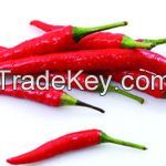 Red chili powder feed grade