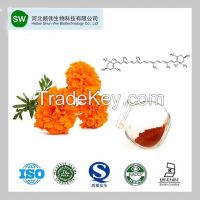 Organic pigment Marigold Extract