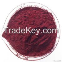 Beet Root Red /Organic Pigment