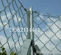 Sell  chain link wire fence, playground fence